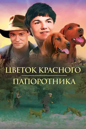 Цветок красного папоротника